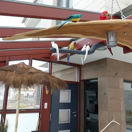 Designer Haus Mit Beheiztem Pool 度假居